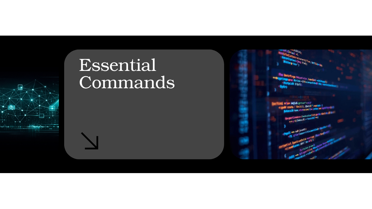 Nmap for beginners essential commands infographic